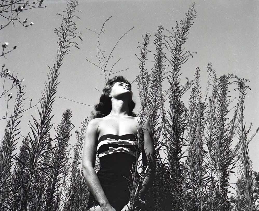 Barbara Darrow