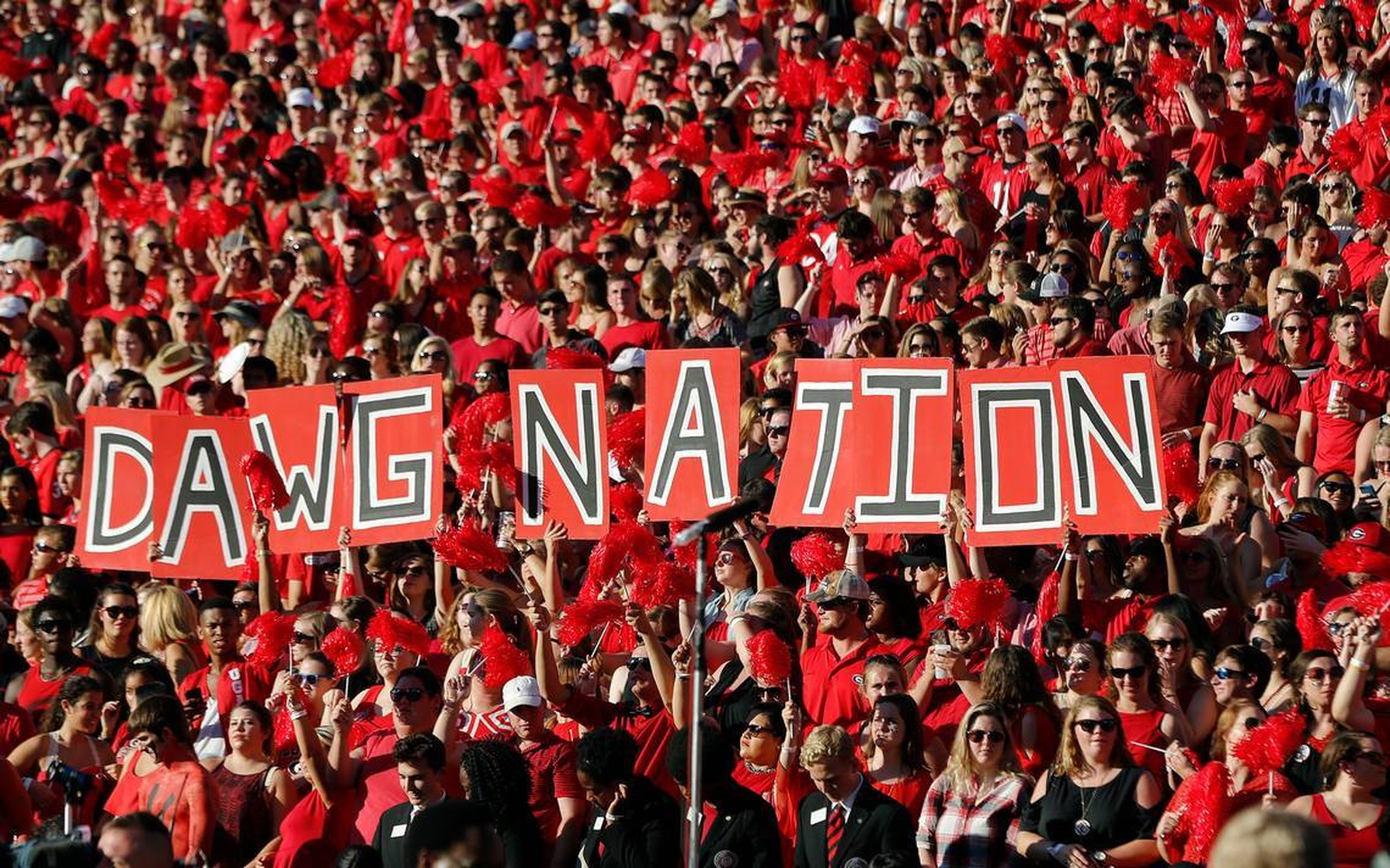 picture-of-georgia-bulldogs-football