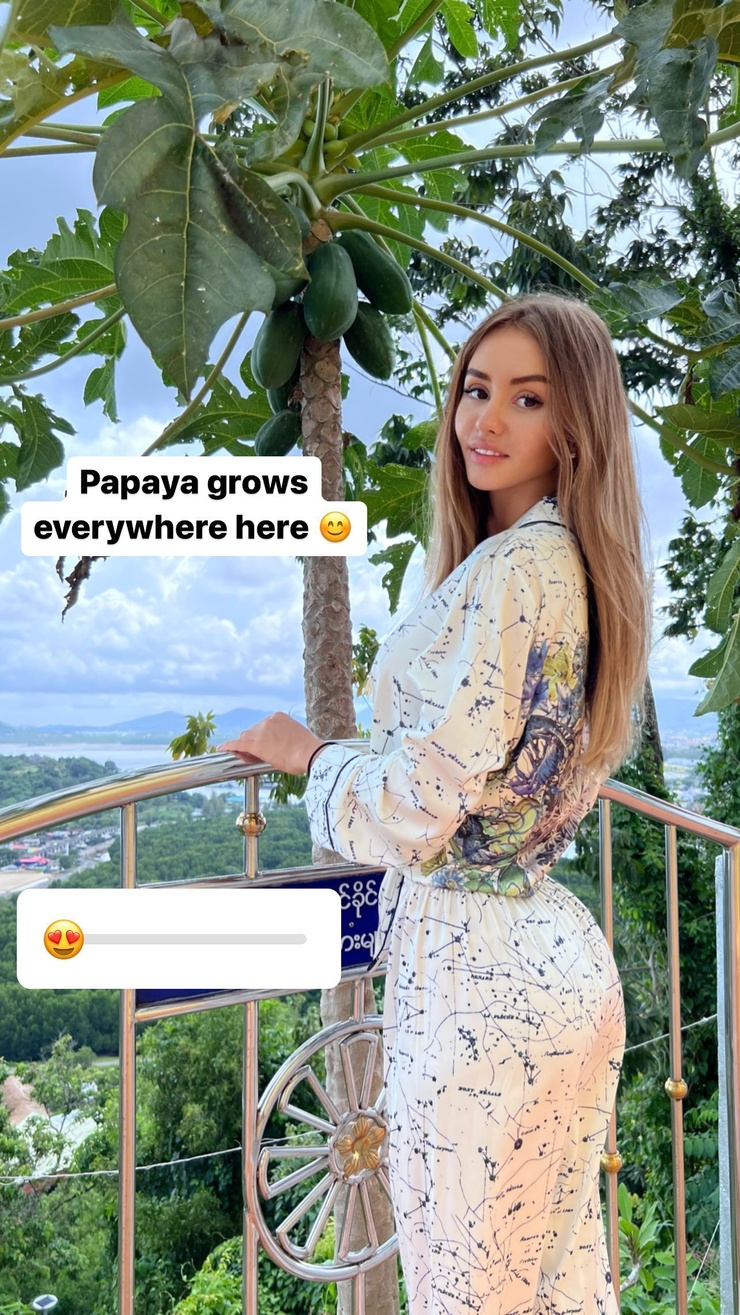 Valenti Vitell image