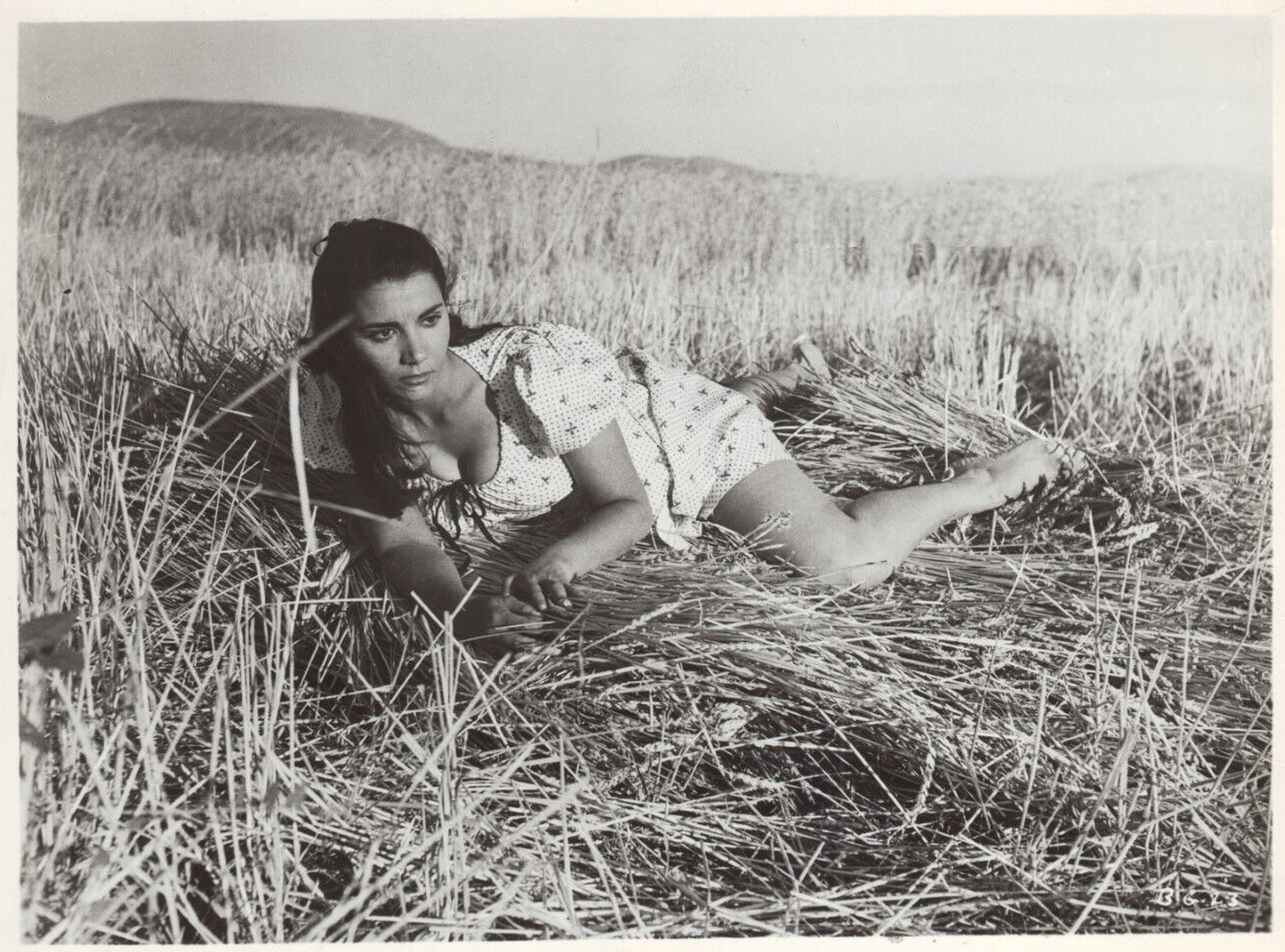 Bed of Grass