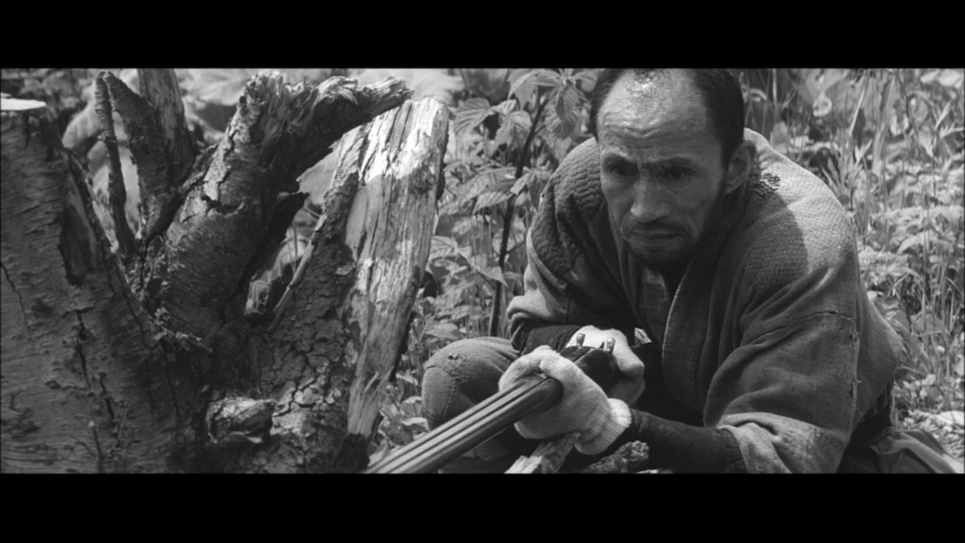 Yoshi Kato