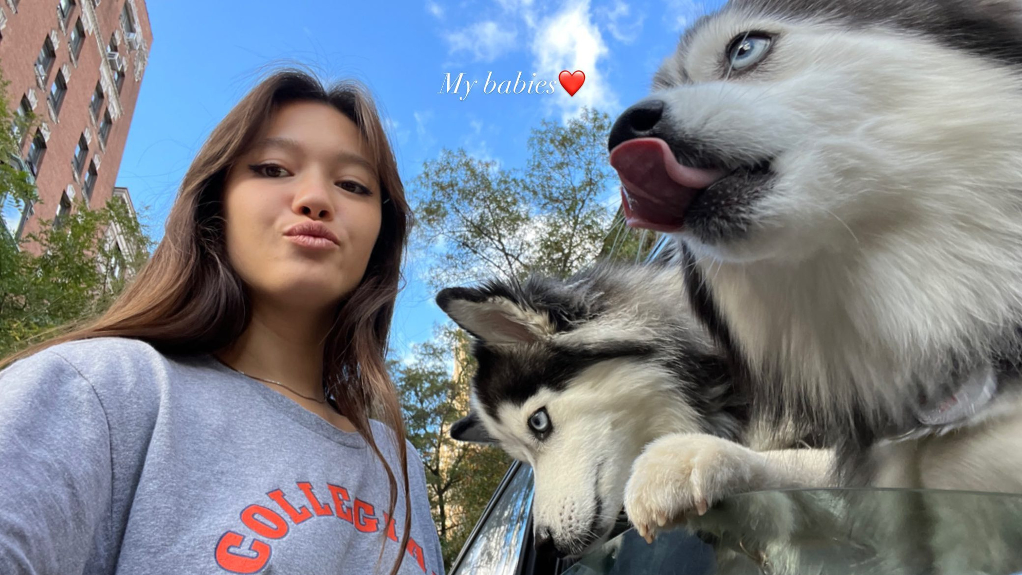 Lily Chee