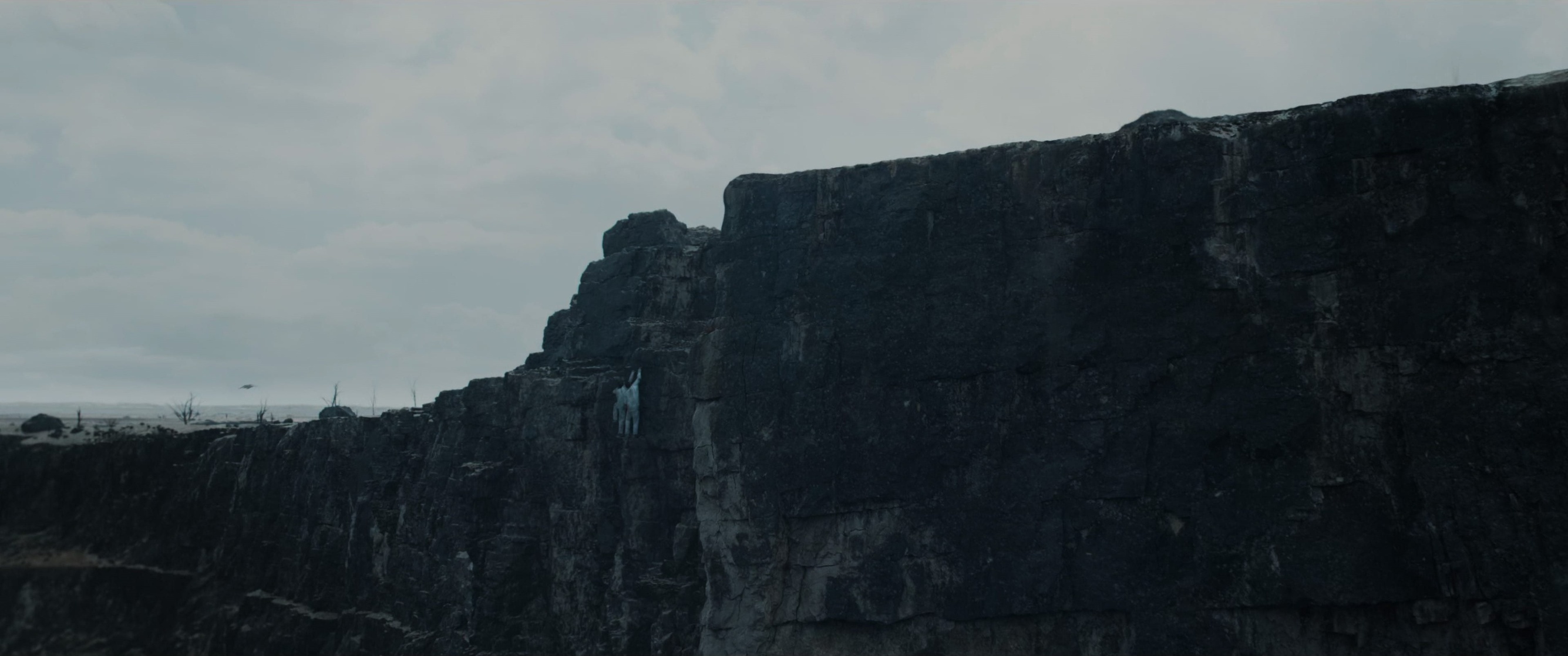 Andor