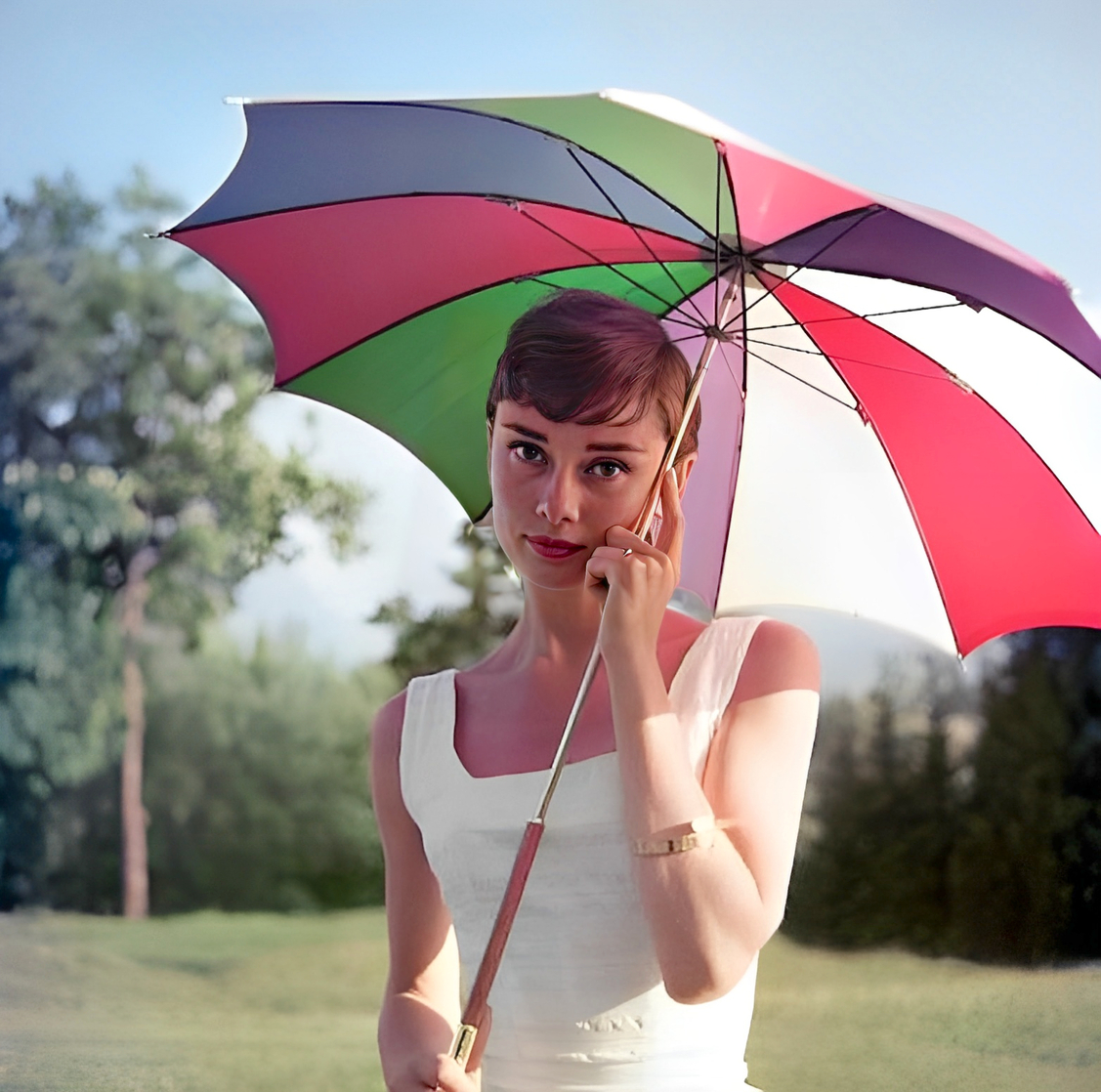 Audrey Hepburn Audrey Hepburn