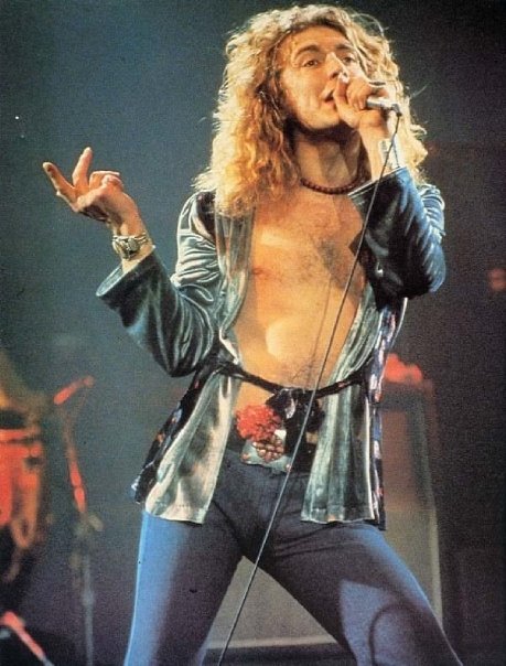 Picture of Robert Plant