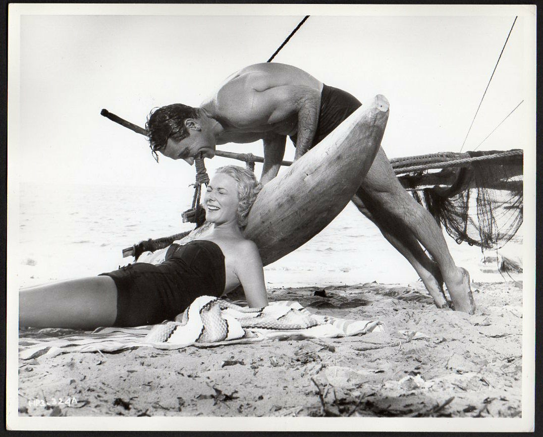 Ann Sears