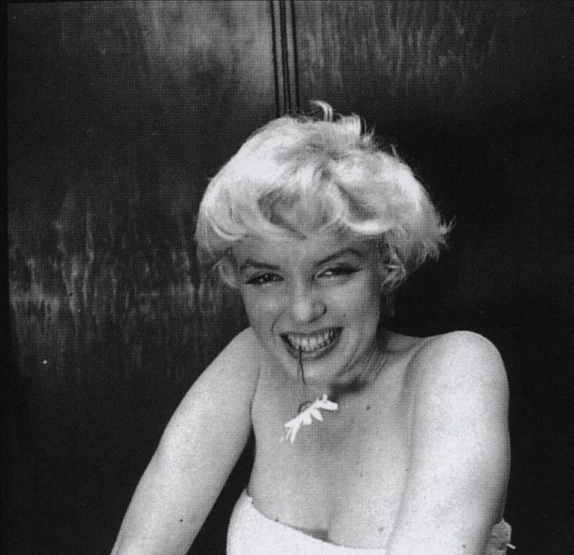 Marilyn Monroe Marilyn monroe