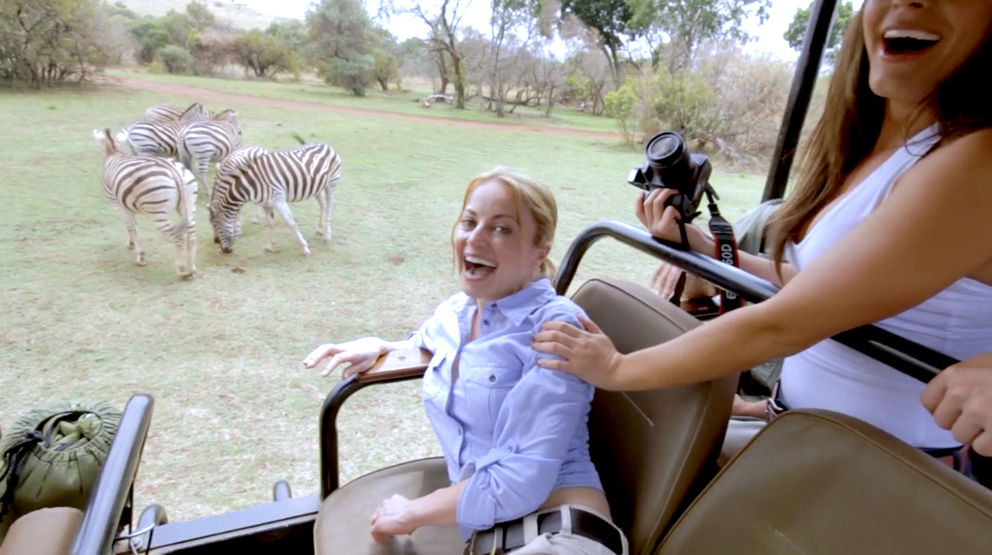 Safari