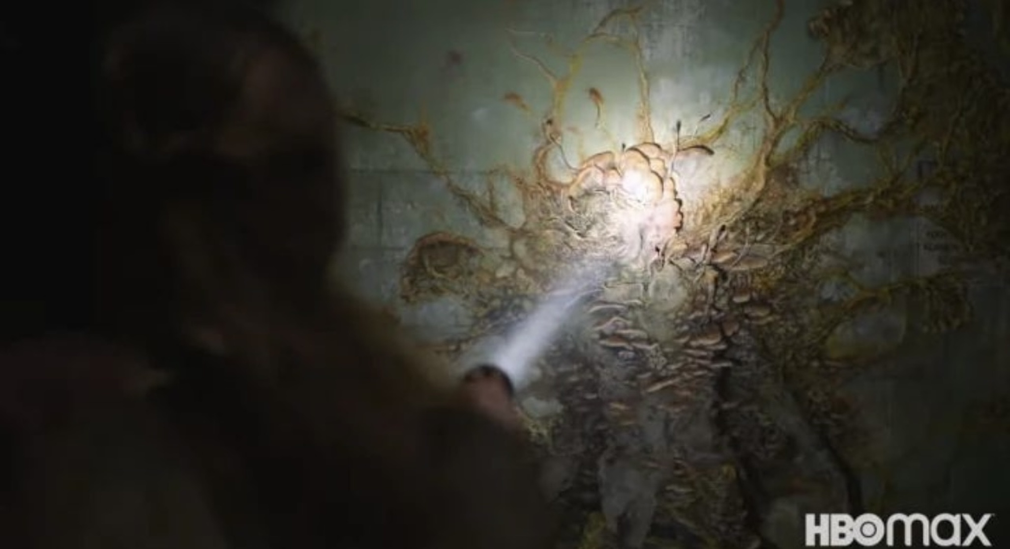 The Last of Us