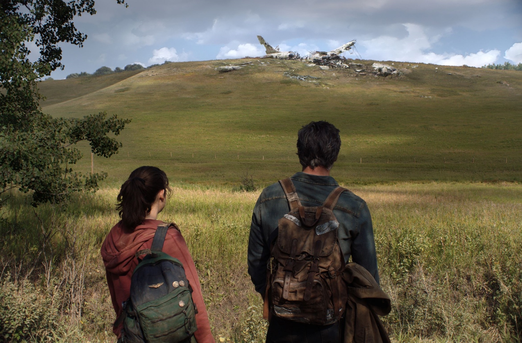 The Last of Us