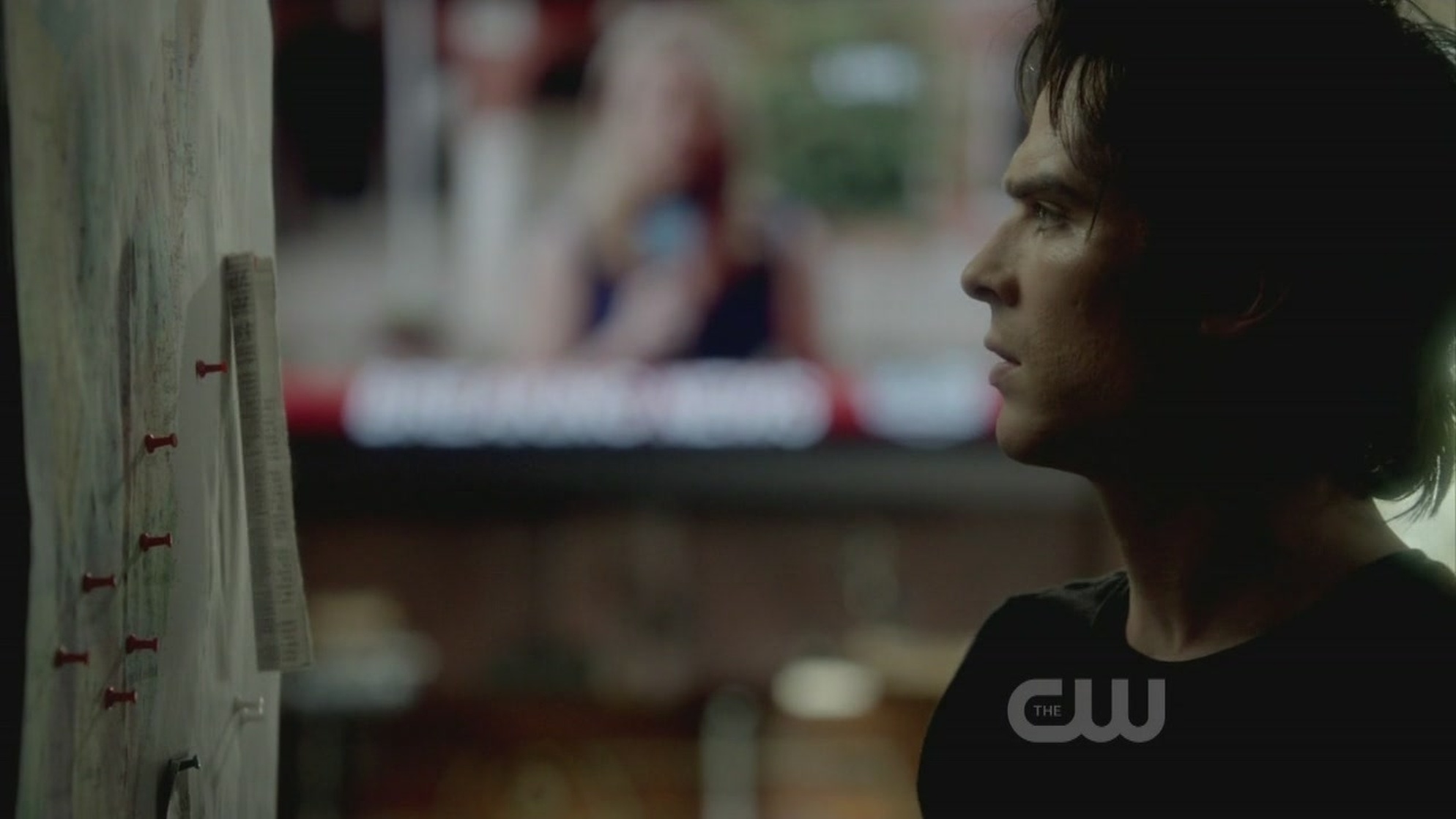 Ian Somerhalder