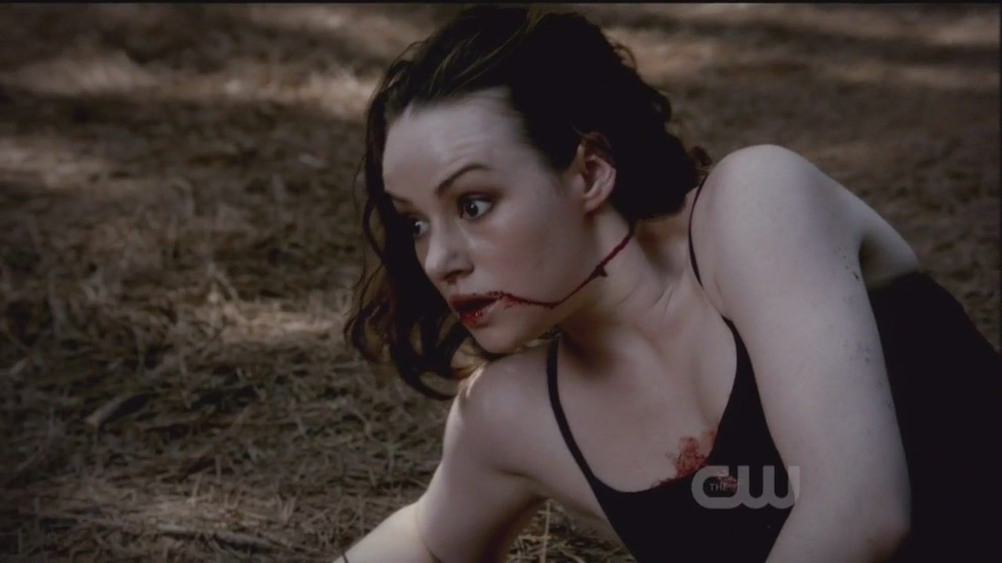 The Vampire Diaries