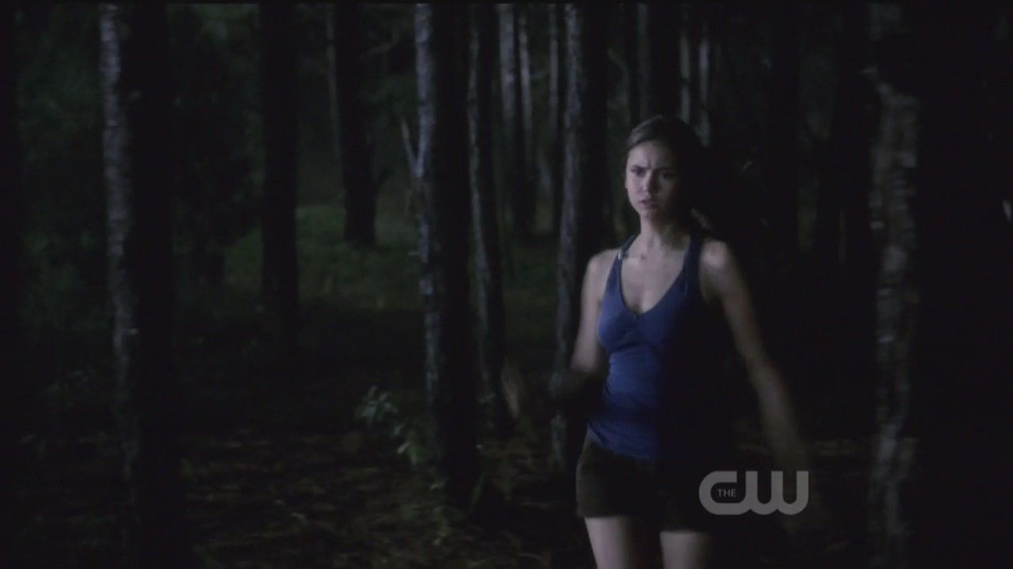 The Vampire Diaries