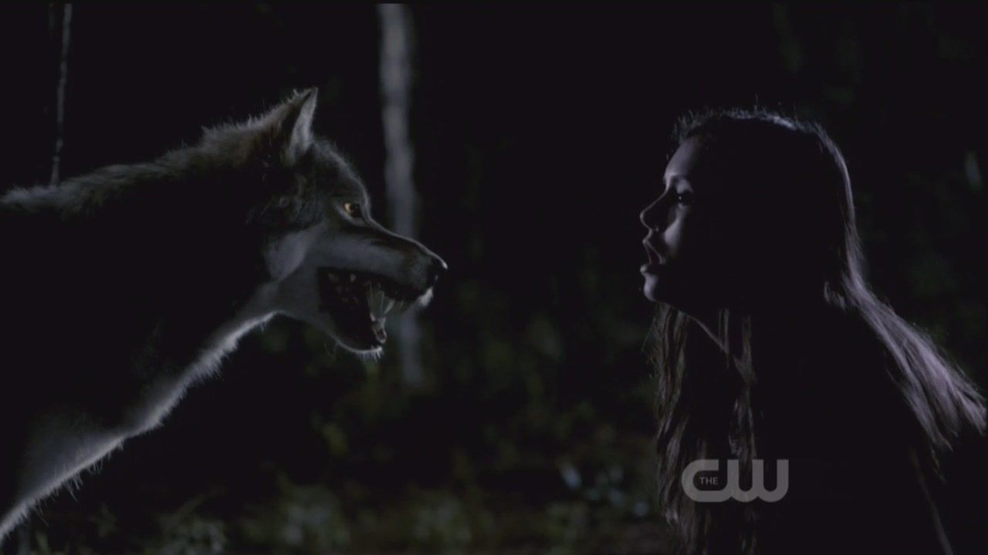The Vampire Diaries
