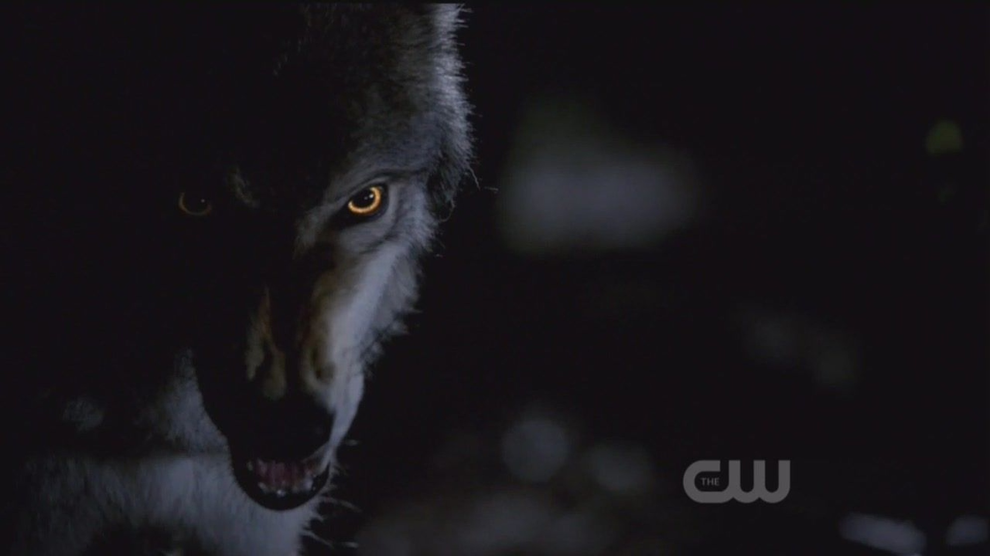 The Vampire Diaries