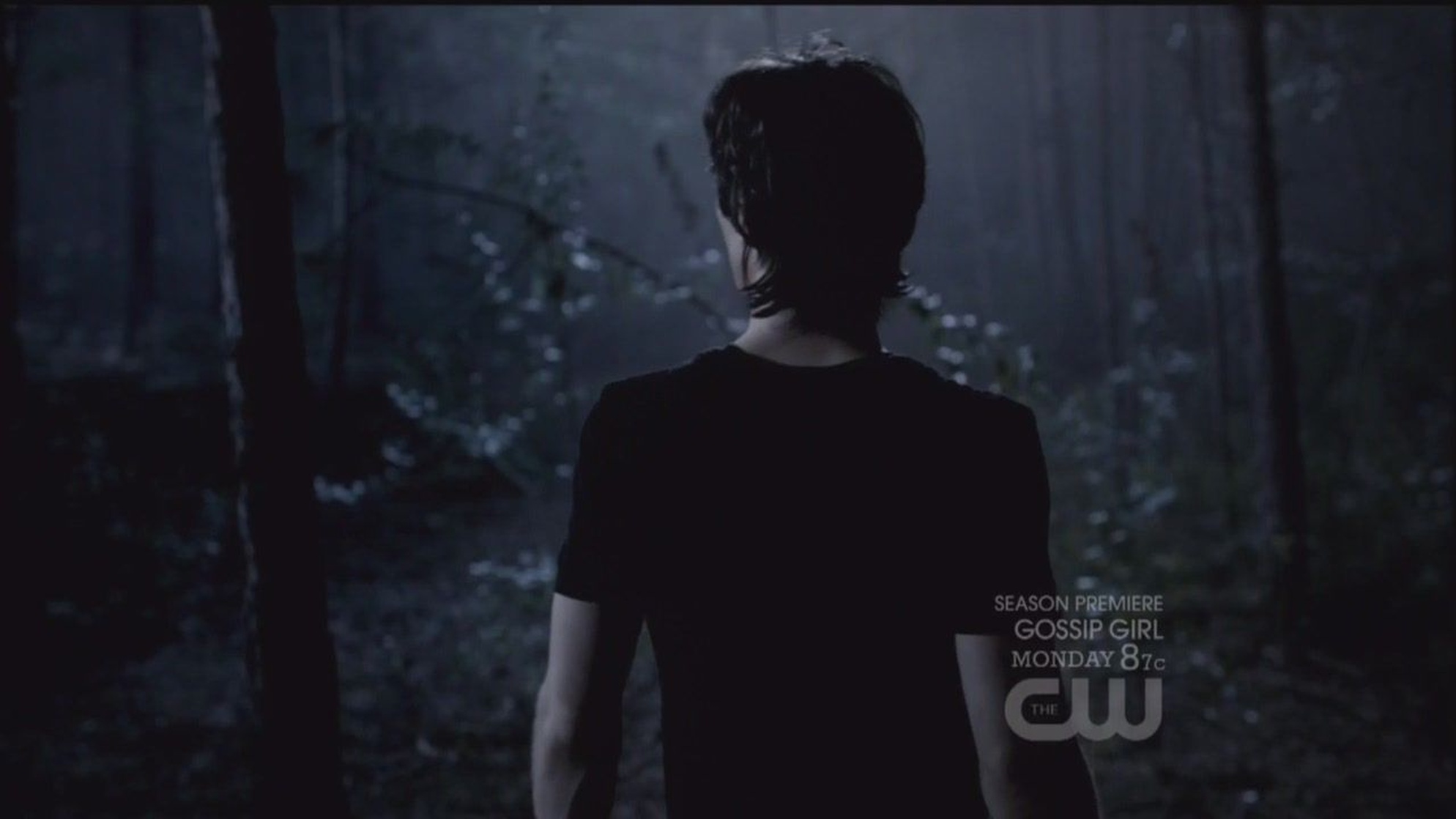 The Vampire Diaries The Vampire Diaries