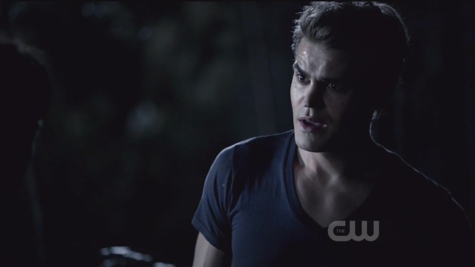The Vampire Diaries