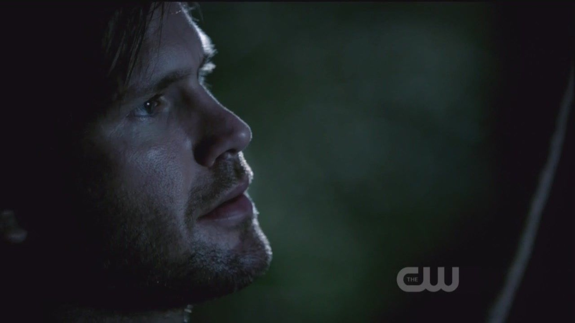 The Vampire Diaries