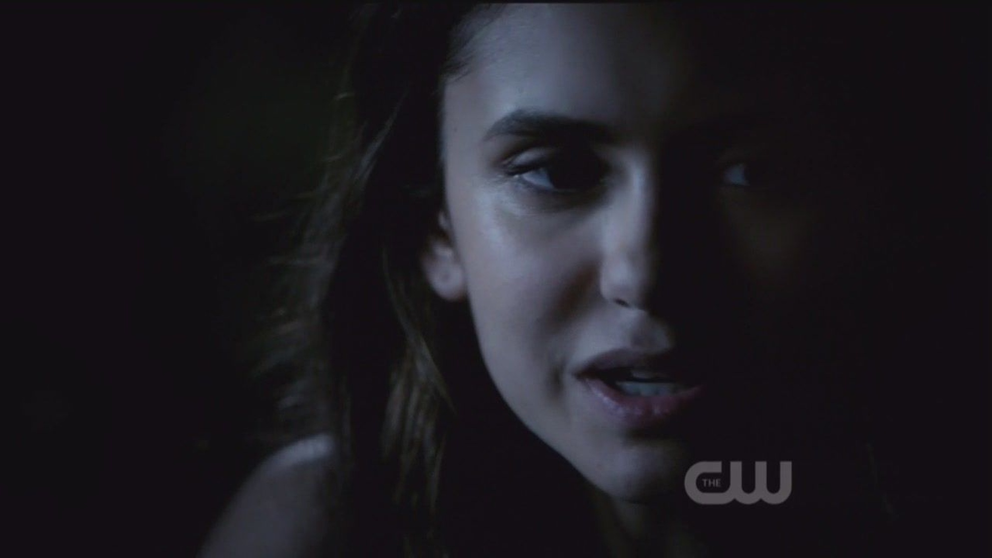 The Vampire Diaries