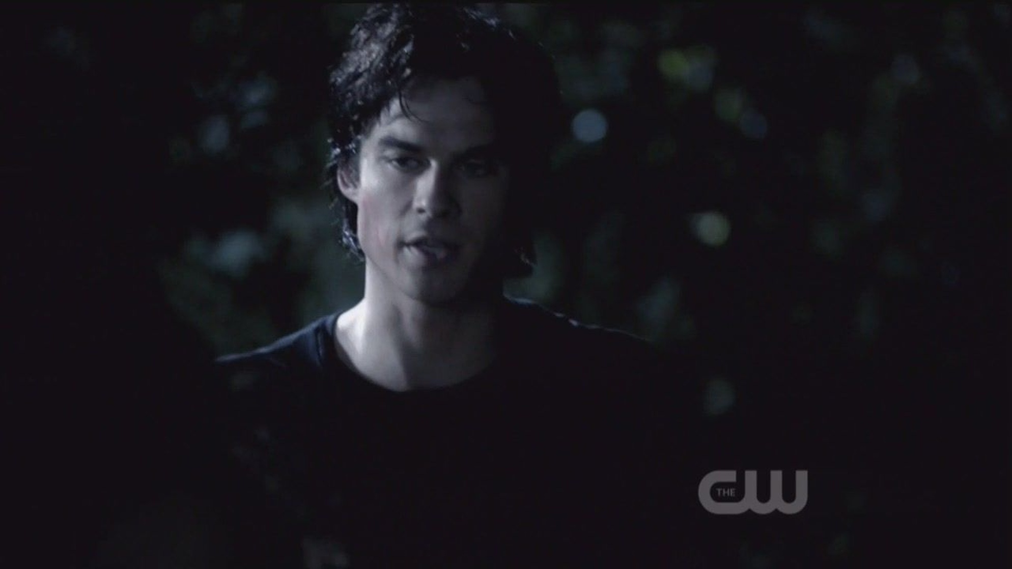The Vampire Diaries