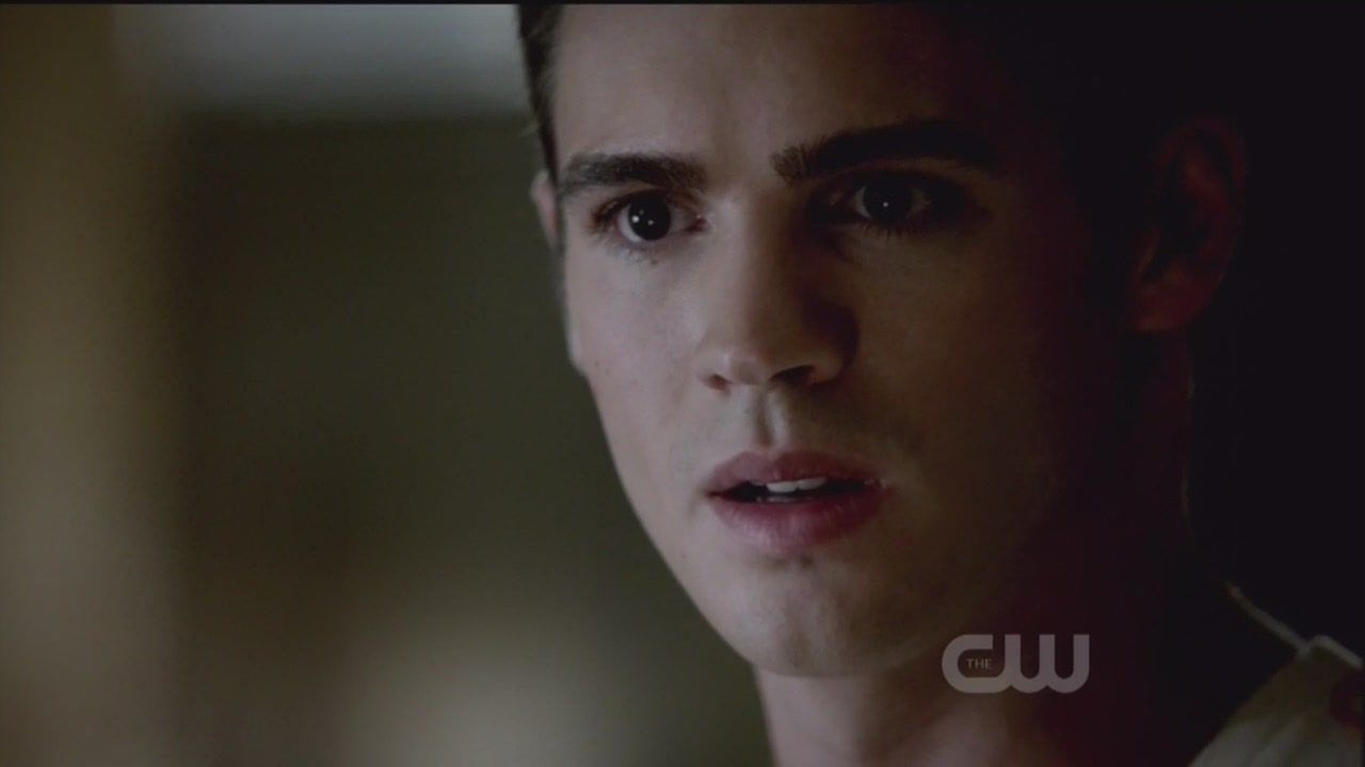 The Vampire Diaries