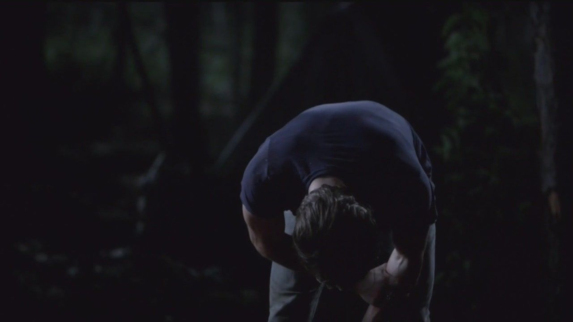 The Vampire Diaries