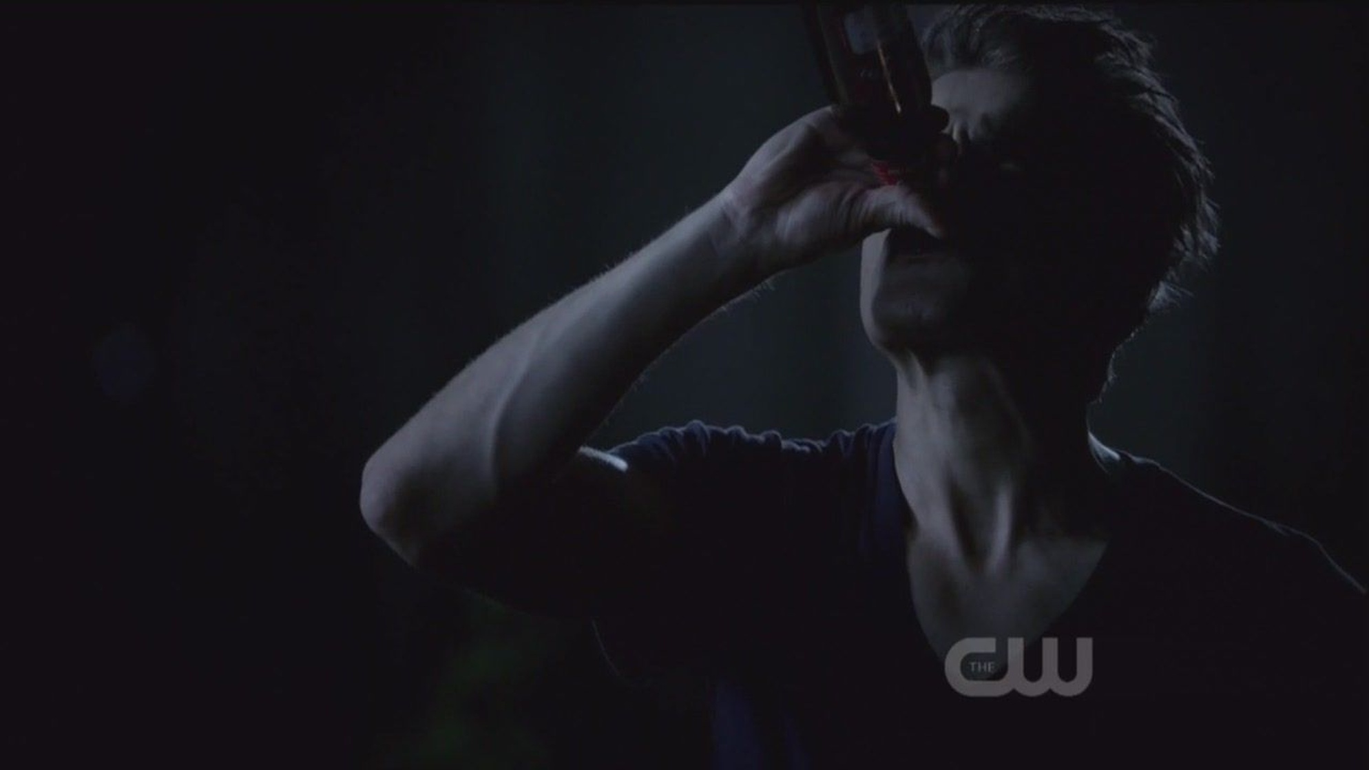 The Vampire Diaries