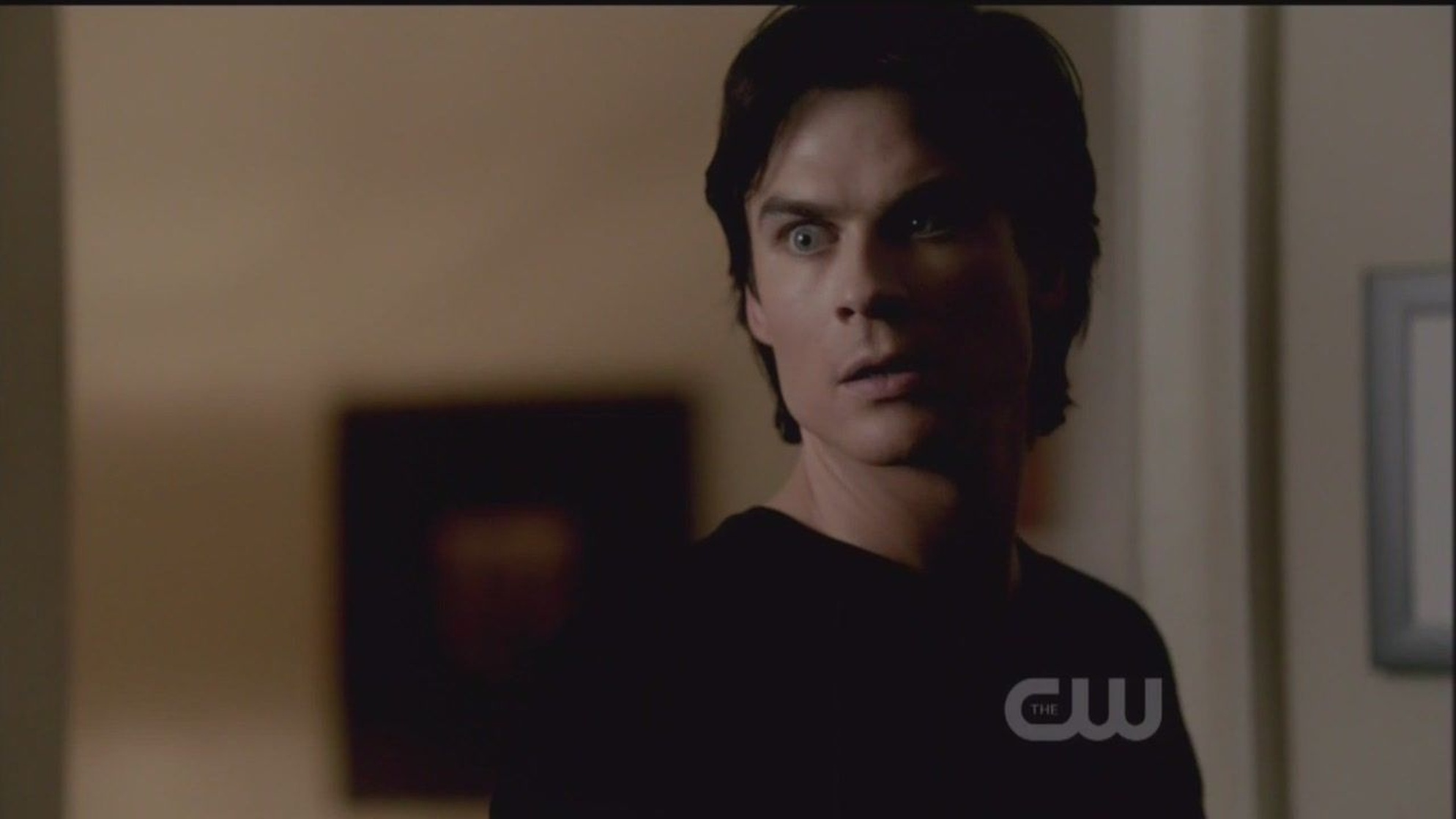 The Vampire Diaries The Vampire Diaries