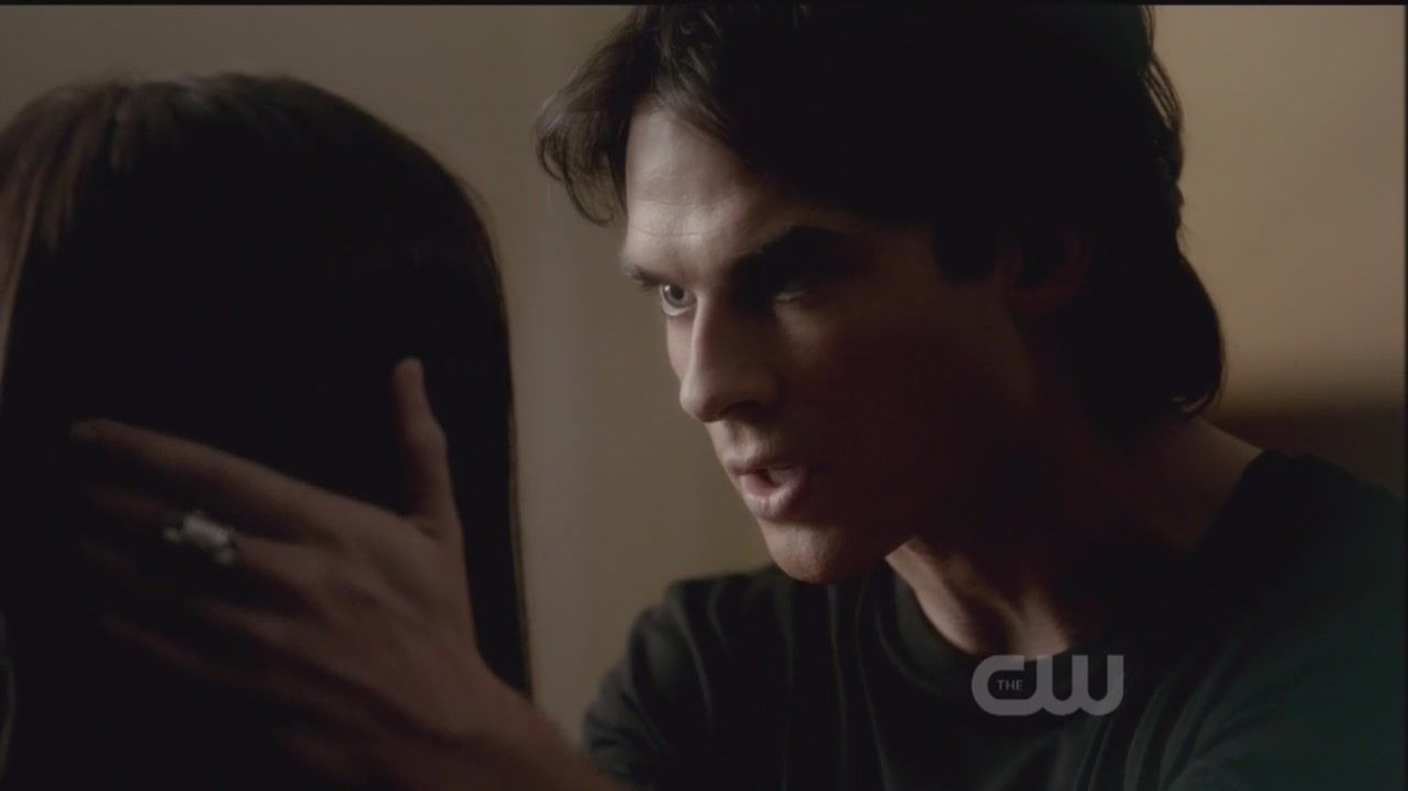 The Vampire Diaries The Vampire Diaries