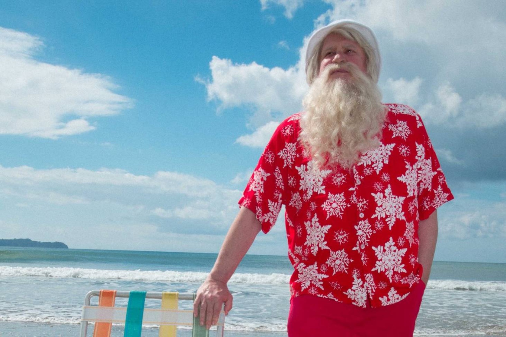 Picture of Kiwi Christmas