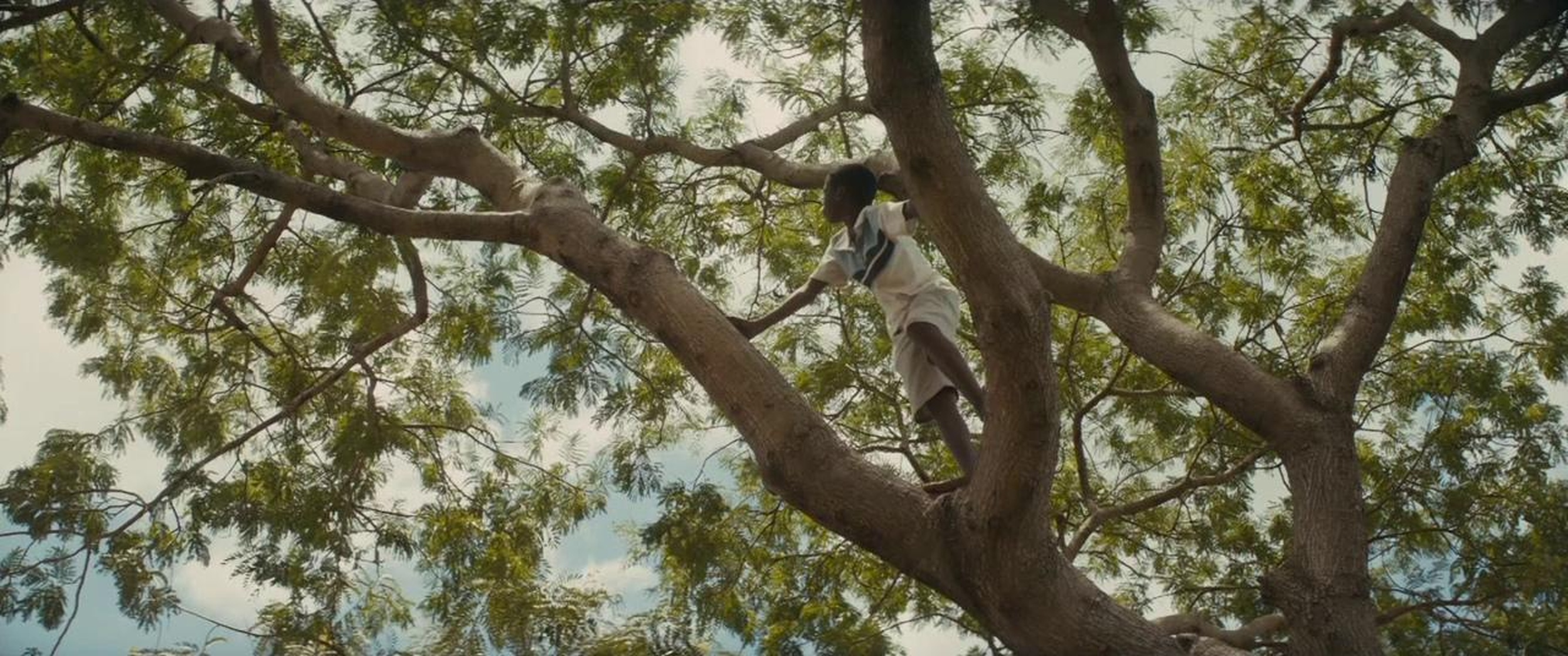 Beasts of No Nation