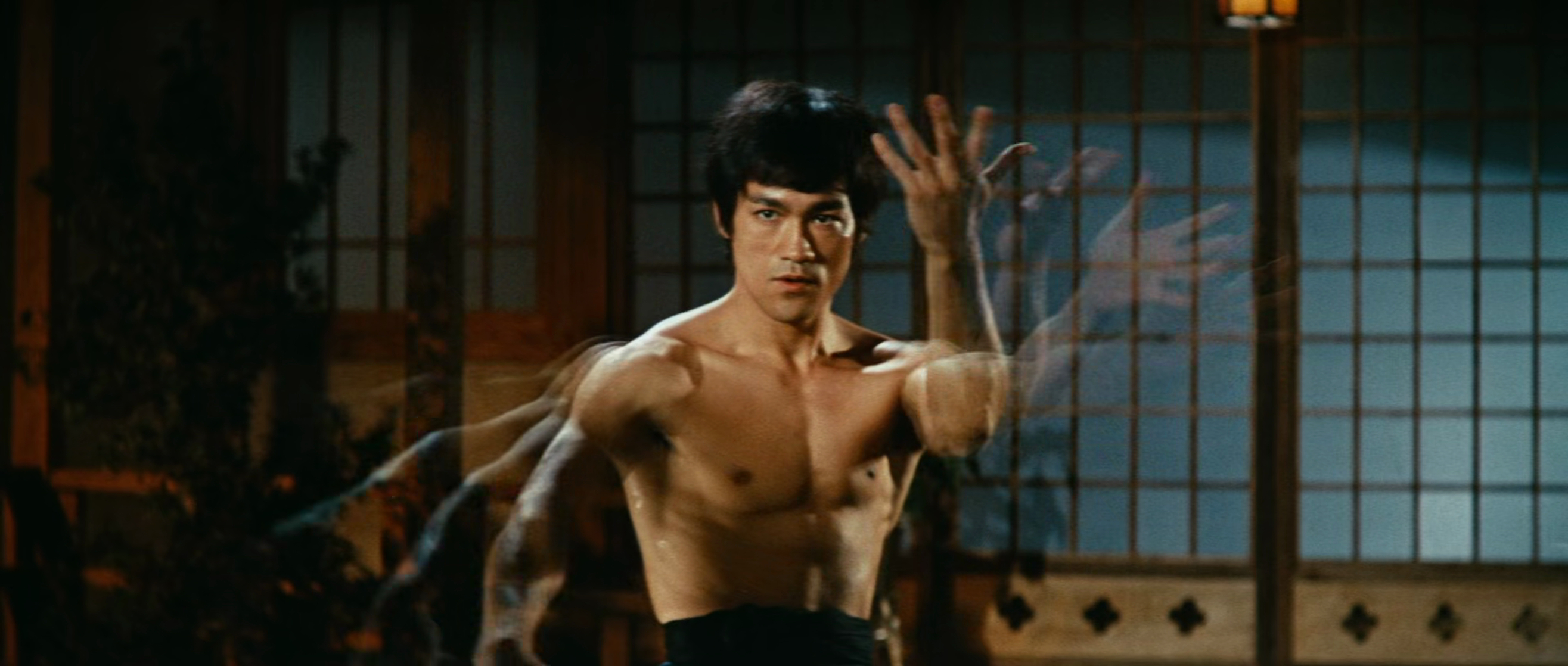 Fist of Fury 