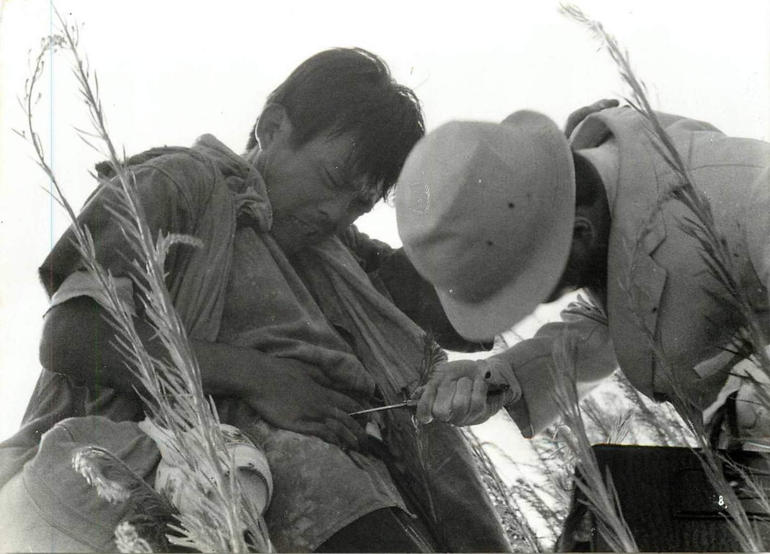 Picture of Hisashi Igawa