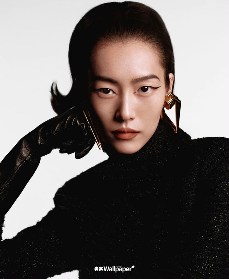 Picture of Liu Wen