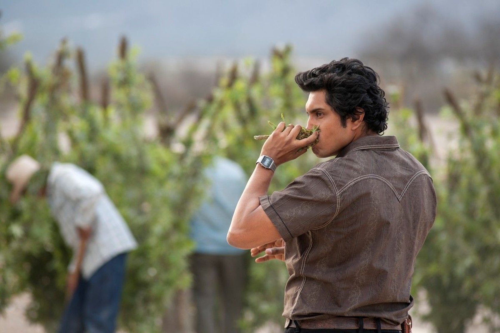 Narcos: Mexico