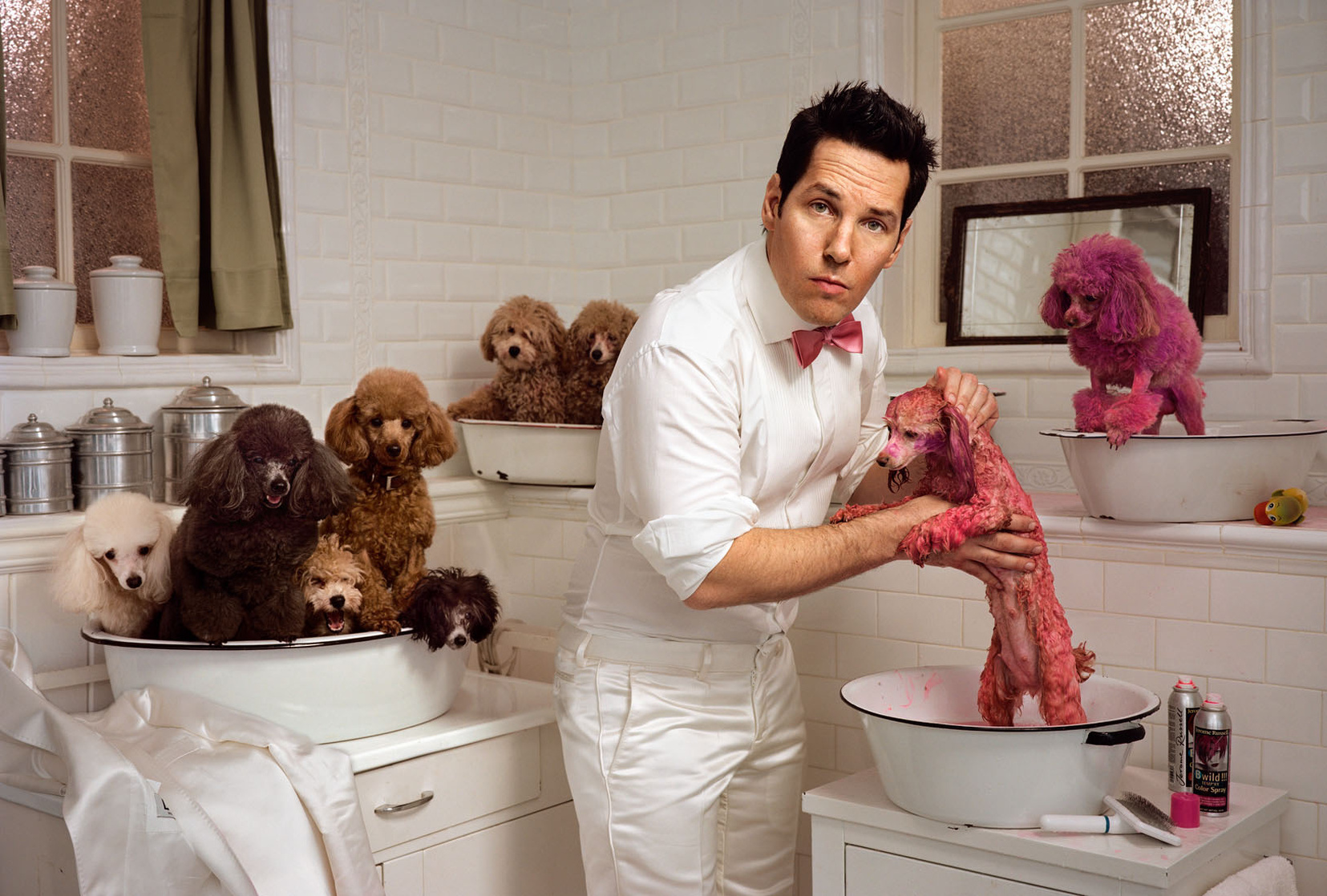 Paul Rudd Paul Rudd