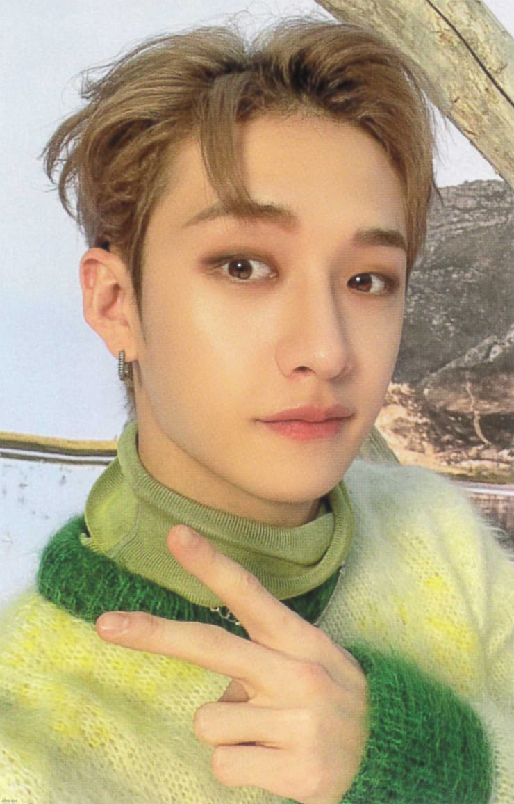 Bang Chan picture