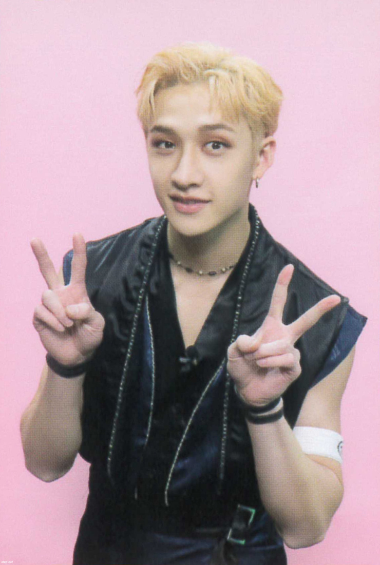 Bang Chan picture