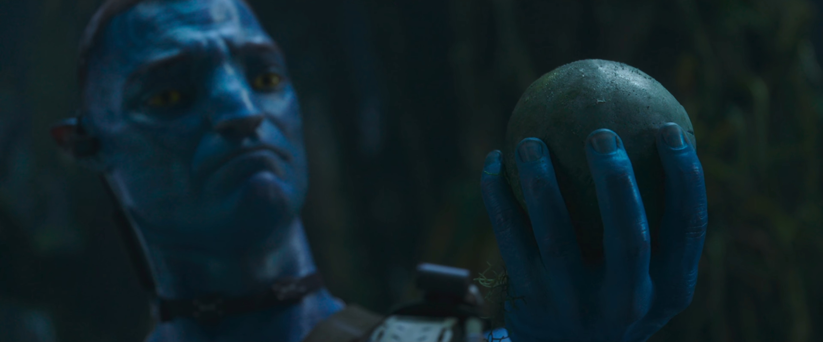 Avatar: The Way of Water Avatar: The Way of Water