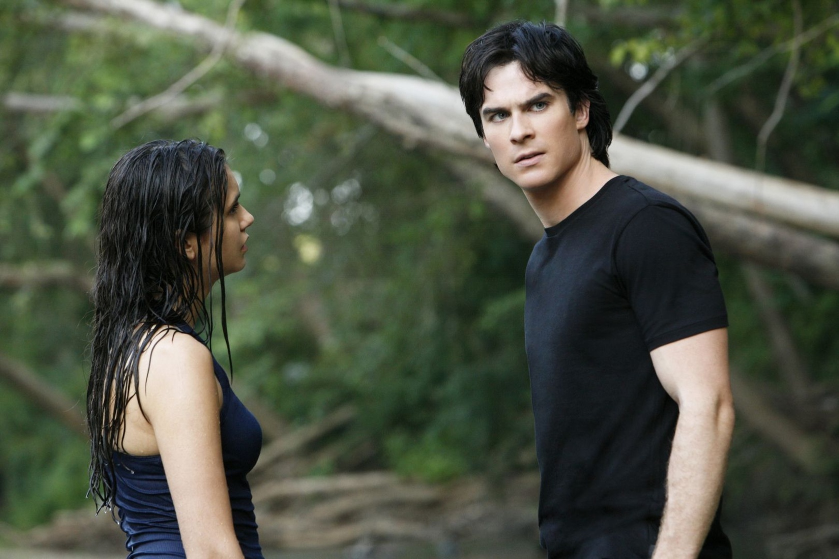 The Vampire Diaries The Vampire Diaries