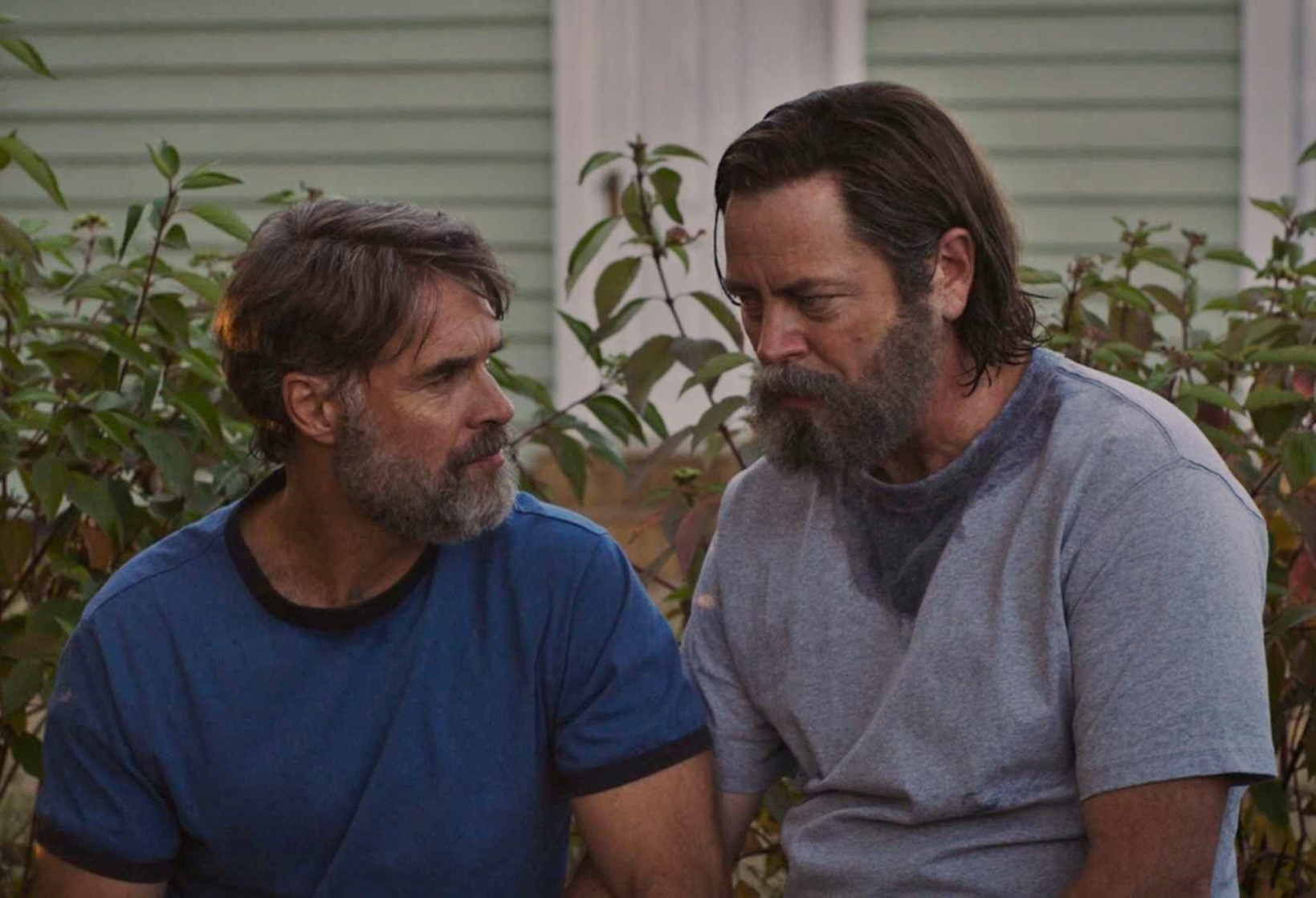 The Last of Us