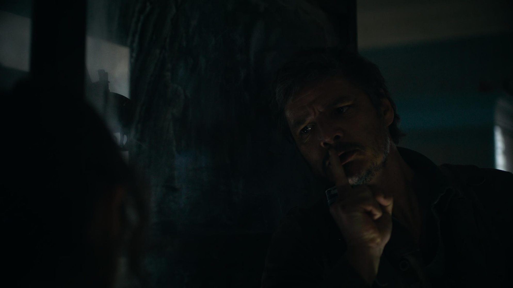 The Last of Us