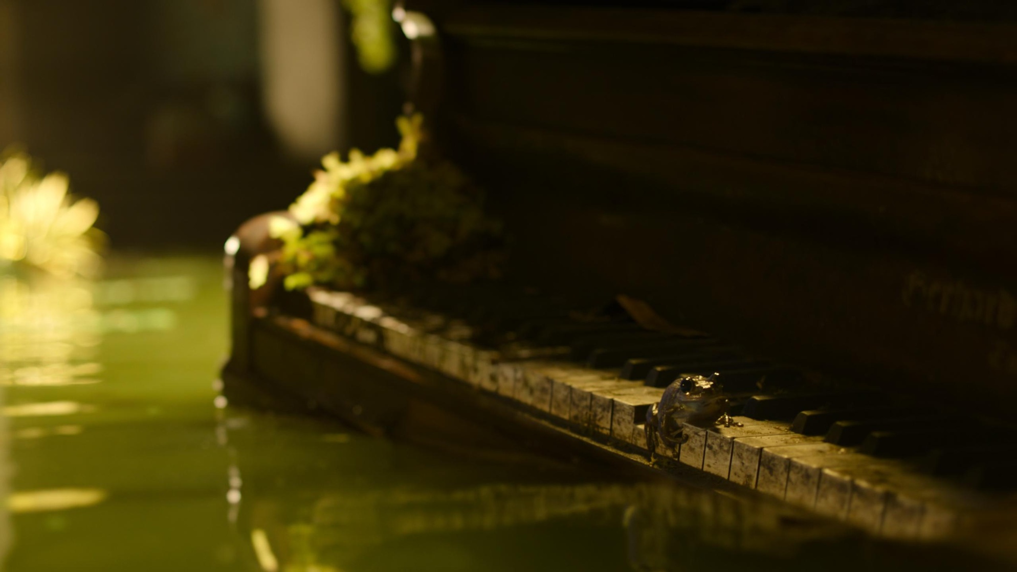 The Last of Us