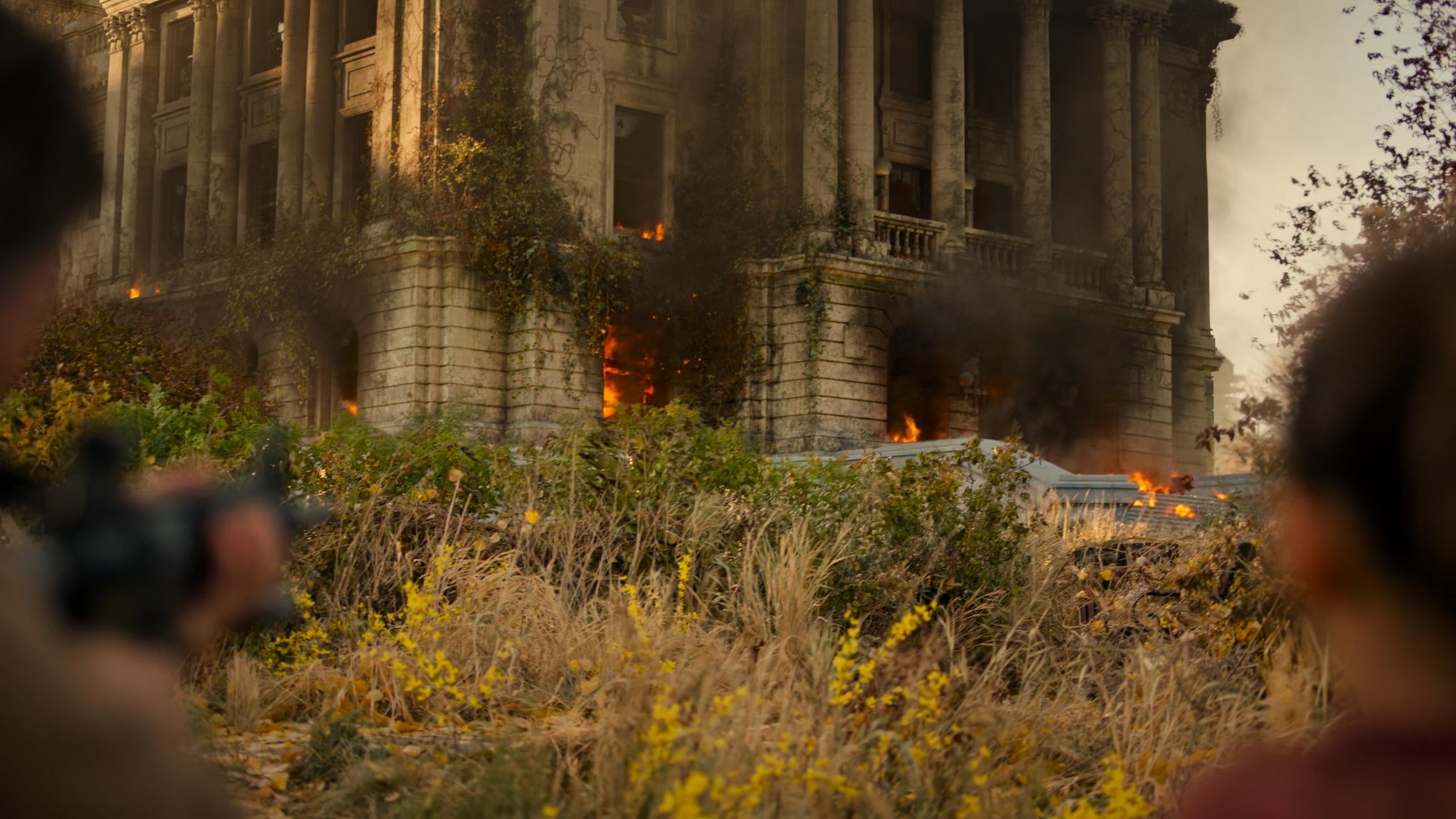 The Last of Us