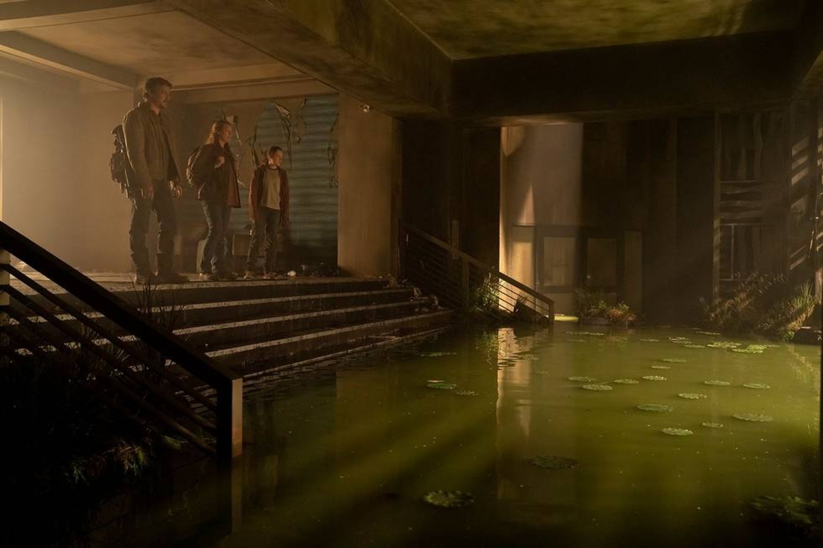The Last of Us