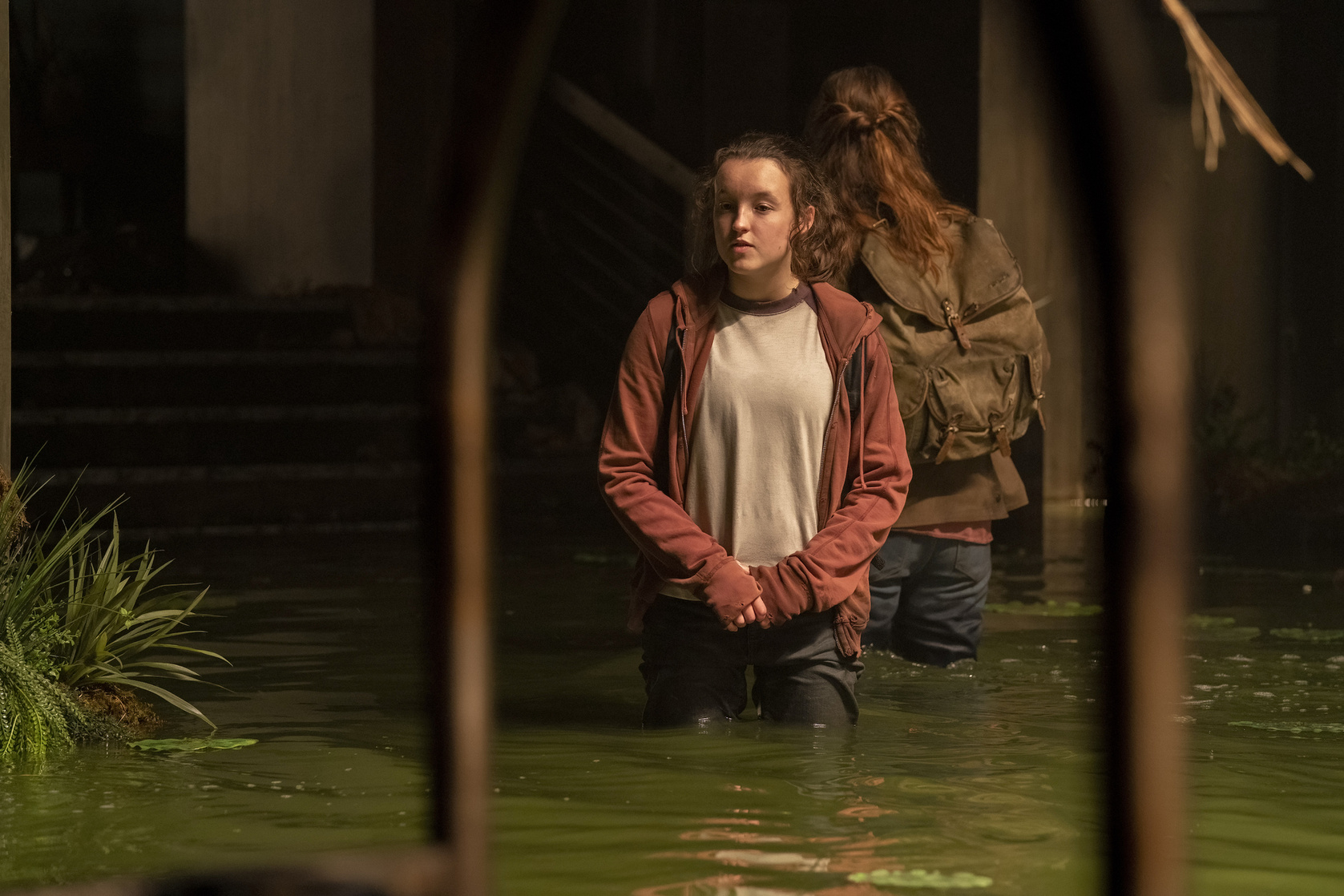 The Last of Us