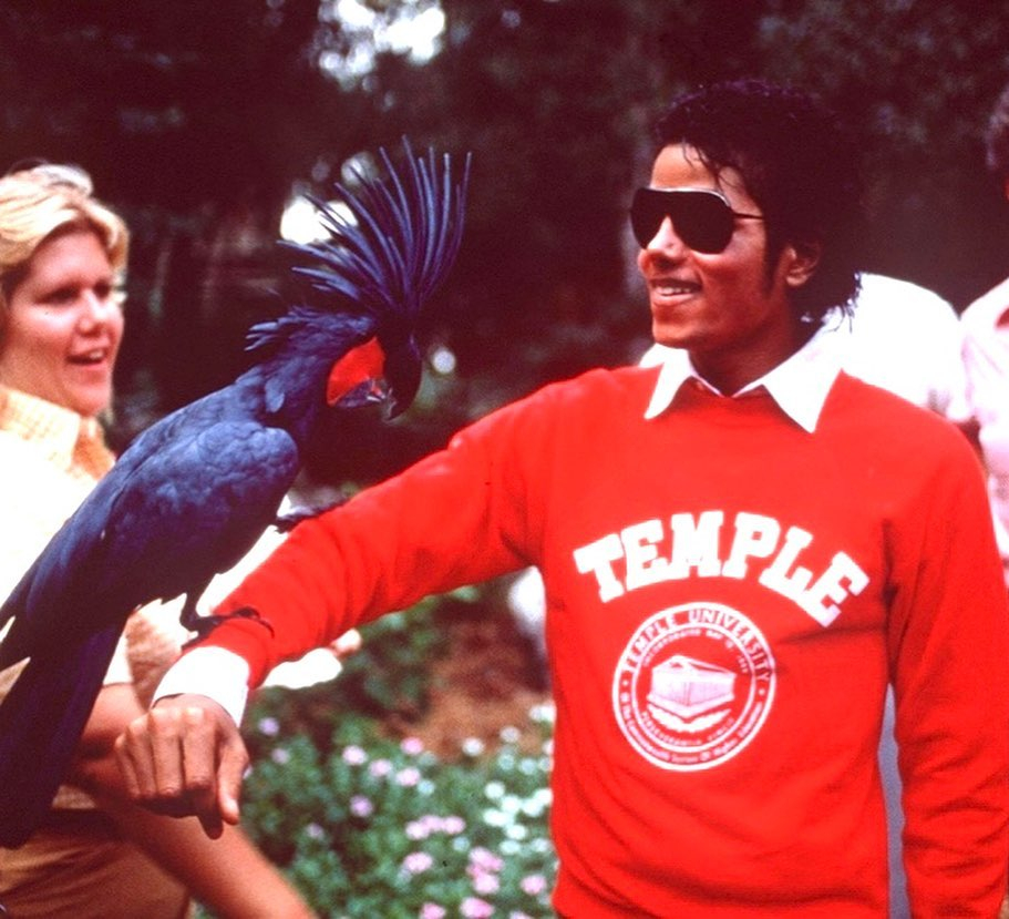 Michael Jackson
