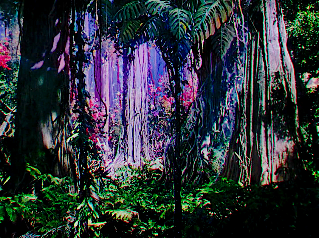 The Jungle Book