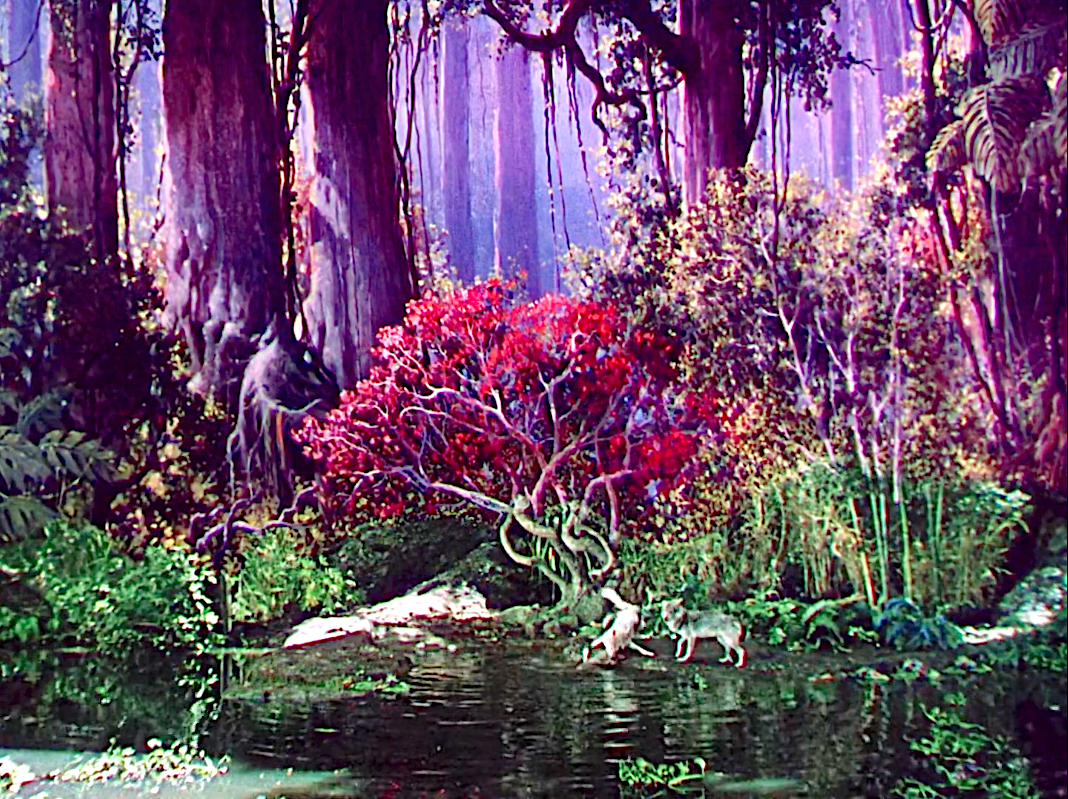 The Jungle Book