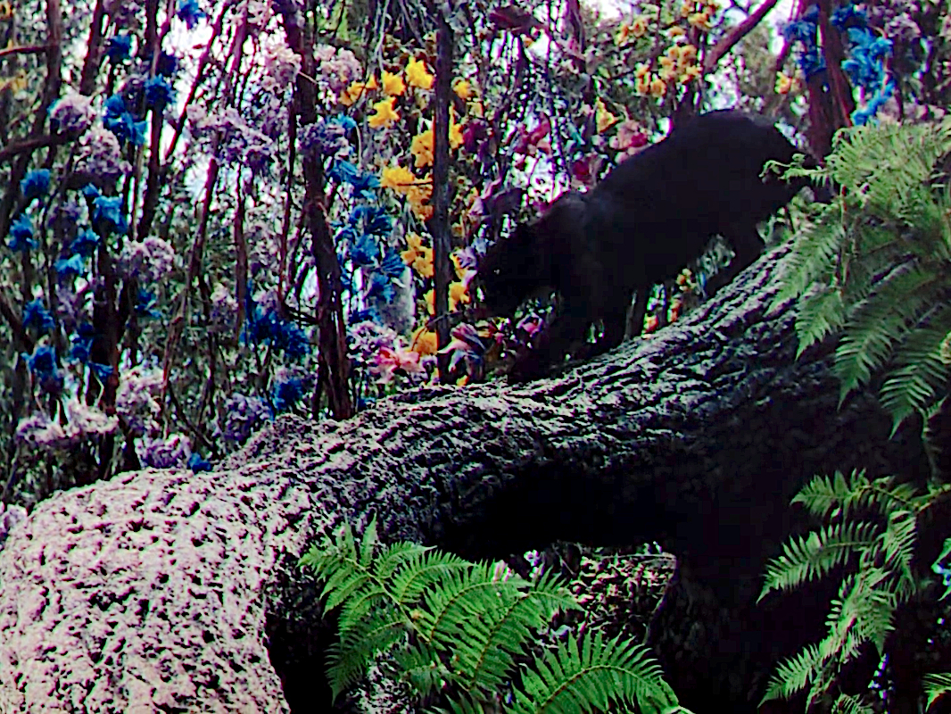 The Jungle Book
